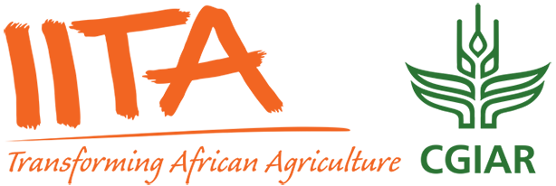 IITA LOGO